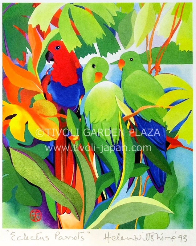 Electus Parrots
